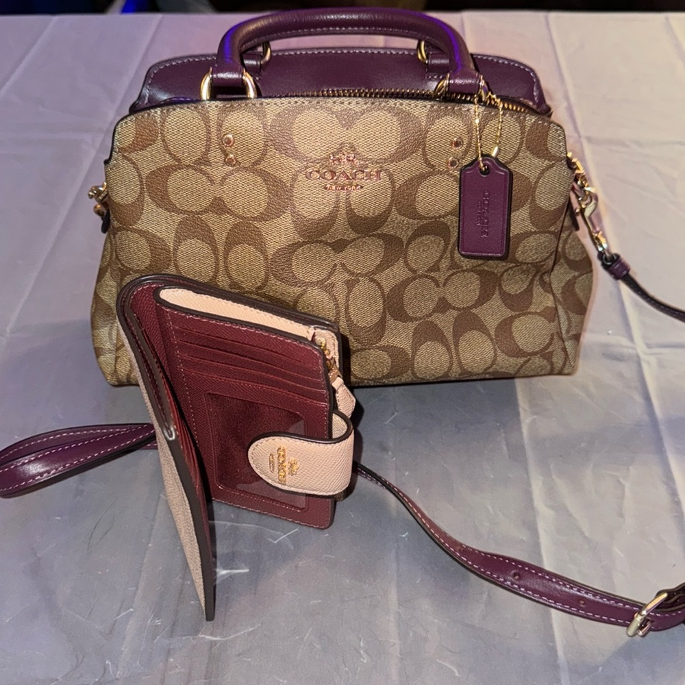 COACH Mini Lillie Carryall and French Purse